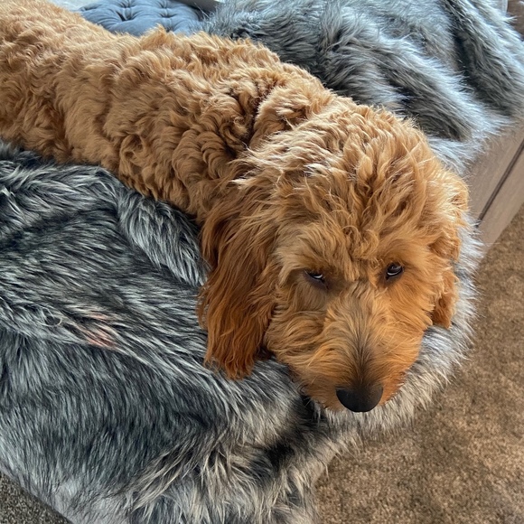 maddie5511_